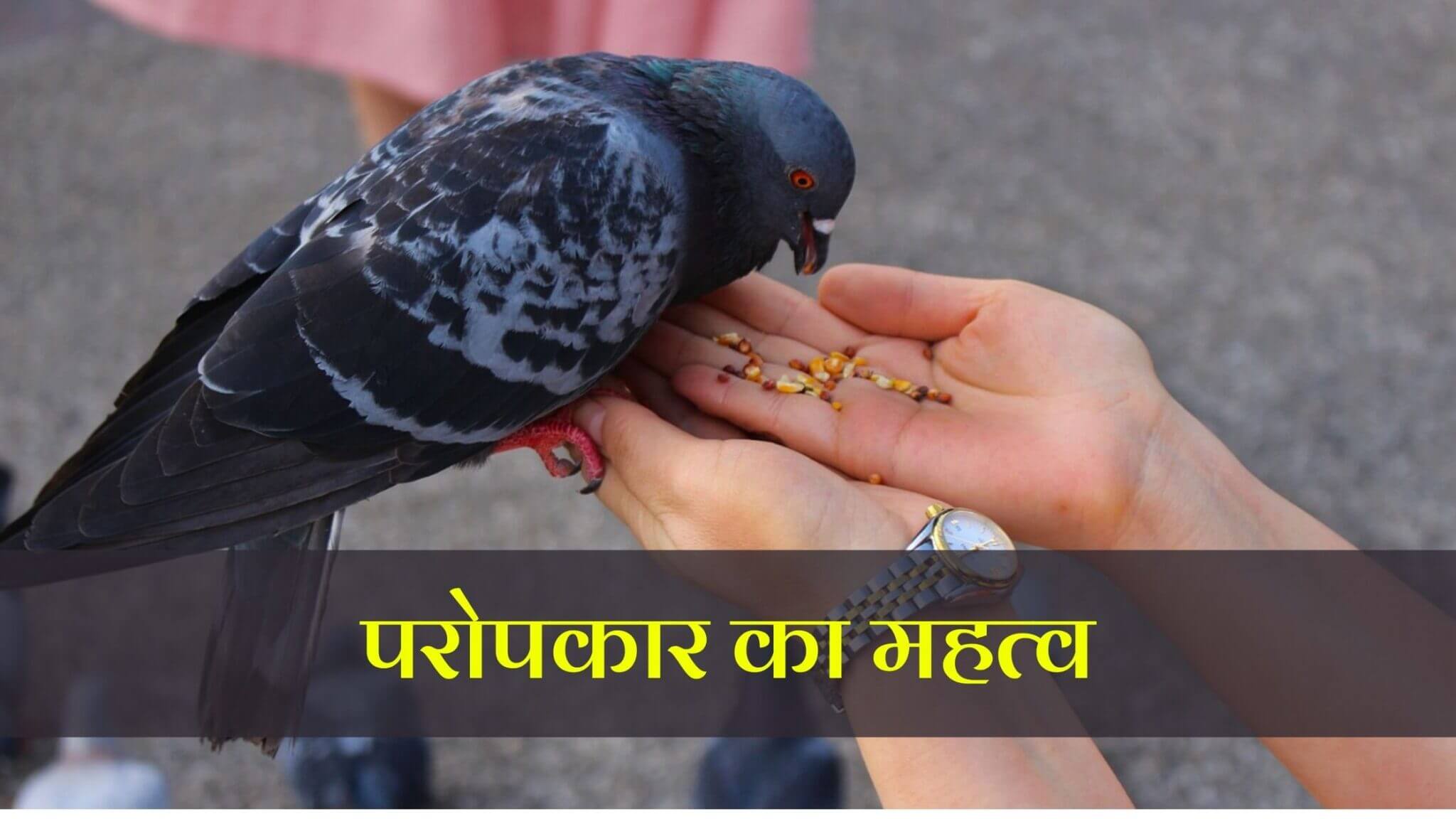 परोपकार का महत्व।