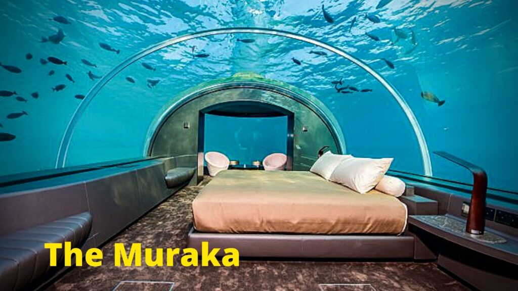 The Muraka