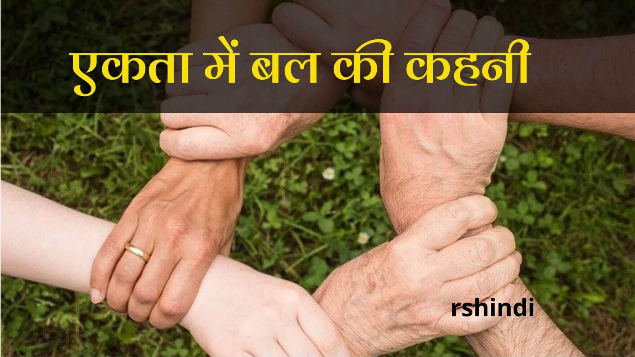 एकता में बल की कहनी