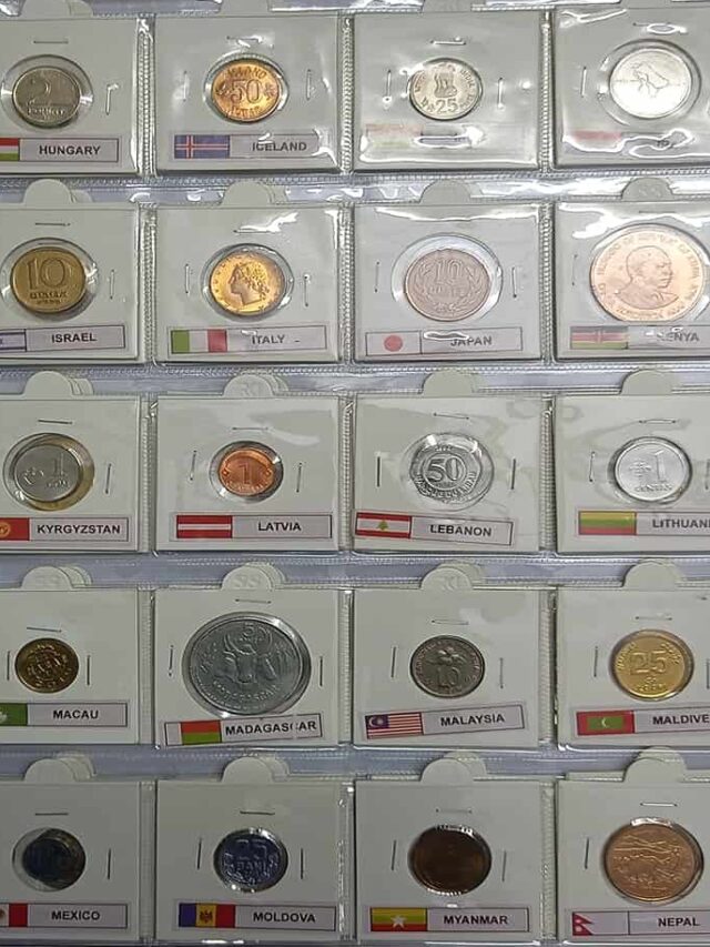 Top 15 Coin Collector's Must-Have Books for Numismatics
